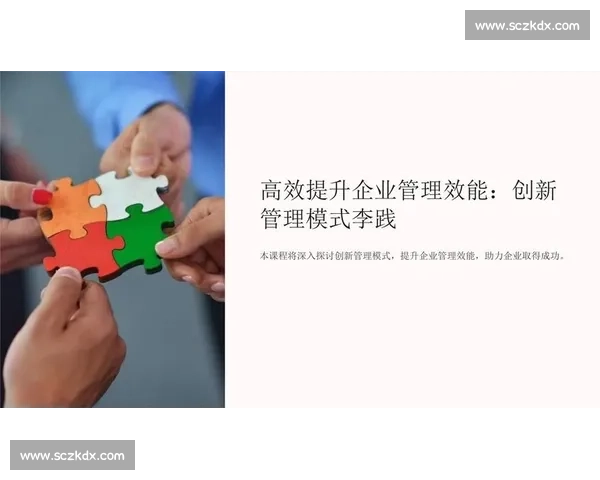 以精细化管理驱动高质量发展全面提升组织效能与运营水平的实践路径探索
